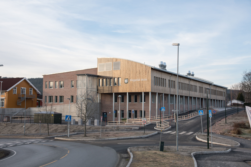 heggedal-skole.jpg